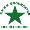 RKSV海勒希德队标